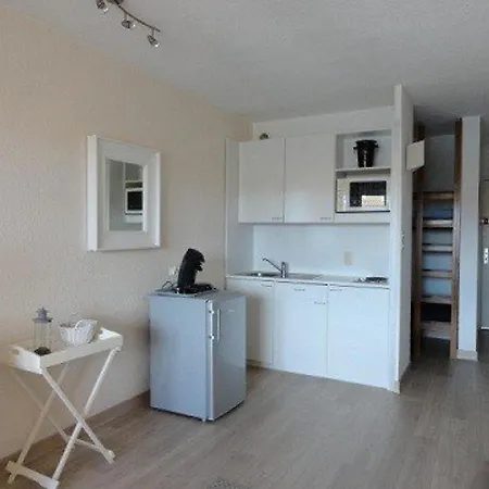 Cap D'agde, 1 Piece, 4 Personnes - Fr-1-249-47 * Agde